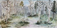 <b>Birkenwald</b><br>Technik: Aquarell<br>Format: 7 x 14 cm<br> Handgemalt