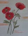 <b>Roter Mohn</b><br>Maße: 40 x 50 cm <br>Technik: Pastell,<br>Original